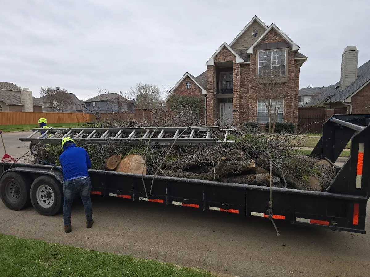 Expert Tree Removal with proper safety equipment in Lyerly